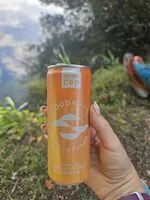 CBD Infused Sparkling Blood Orange & Grapefruit (Goodrays)