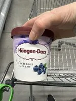 Blueberry Ice Cream (Hagen Das)