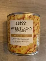 SWEETCORN IN WATER (TESCO)