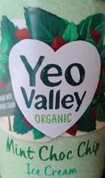 Mint Choc Chip Ice Cream (Yeo Valley)